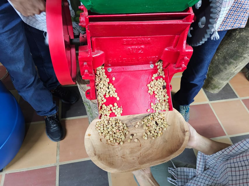 Coffee Experience with roasting show in Comuna 13 - Three farm processes explained in plain terms
