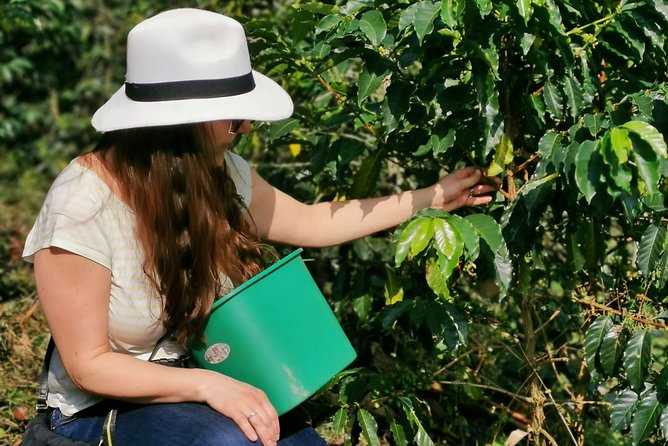 Coffee Farm & ATVs Private Tour in Medellin: Stunning Views & Fun - Two sides of Medellín in one long day