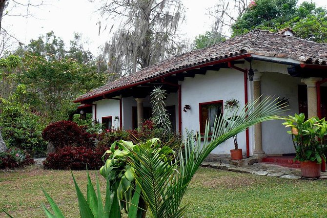 Coffee Farm Experience Private Day Tour - Orchids, fruit trees, and a quieter side of Colombia