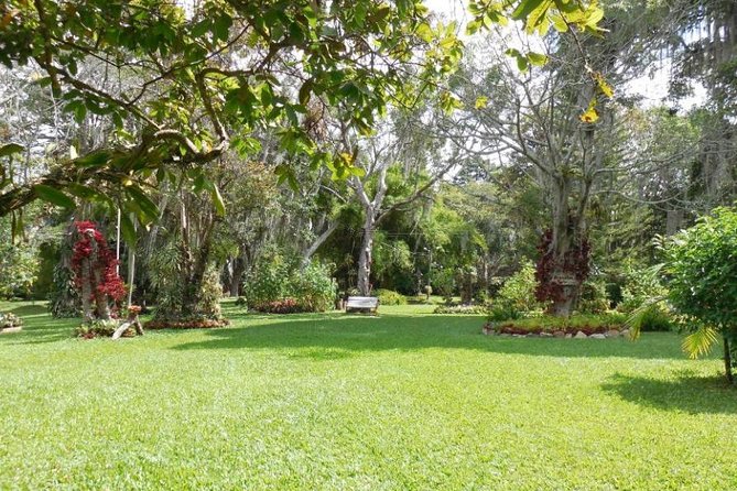 Coffee Farm Experience Private Day Tour - Coffee tasting and coffee liquor