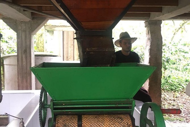 Coffee Farm Experience Private Day Tour - Should you add the Colombian lunch?