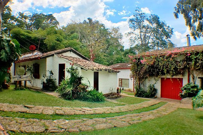 Coffee Farm Experience Private Day Tour - How the private format changes the day