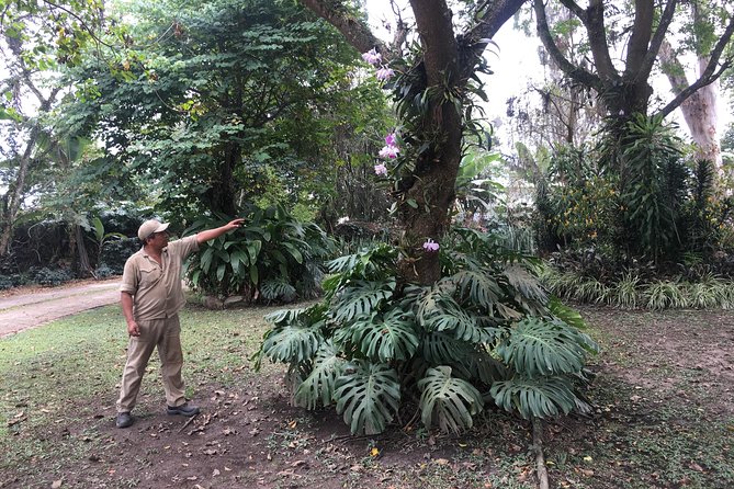 Coffee Farm Experience Private Day Tour - The $110 price and what you receive