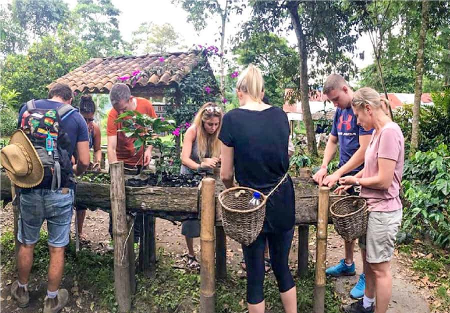 Coffee Farm Tour at Finca El Ocaso from Salento - Key points to know before booking