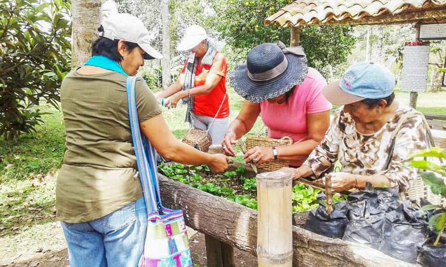 Coffee Farm Tour at Finca El Ocaso from Salento - From coffee fruit to prepared beans