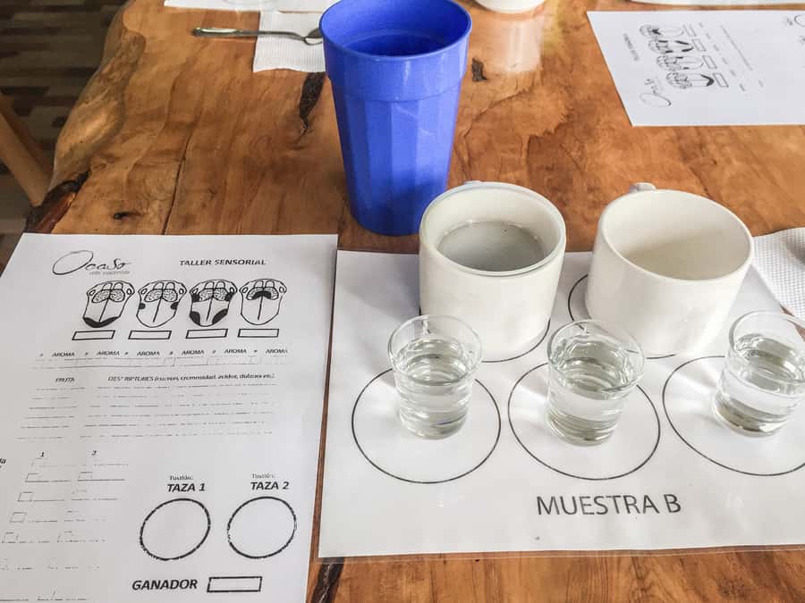 Coffee Farm Tour at Finca El Ocaso from Salento - Guide quality and the small-group format