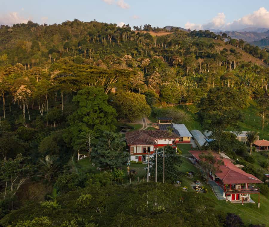 Coffee Farm Tour at Finca El Ocaso from Salento - Is the $93 price fair?