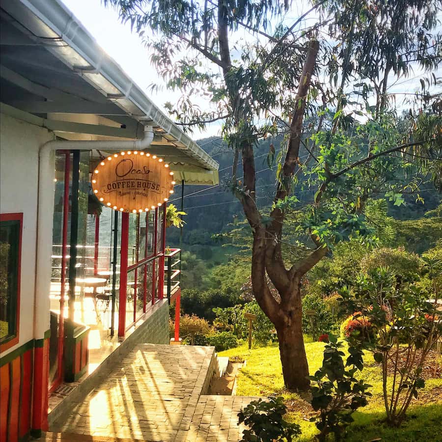 Coffee Farm Tour at Finca El Ocaso from Salento - What to bring and how to prepare