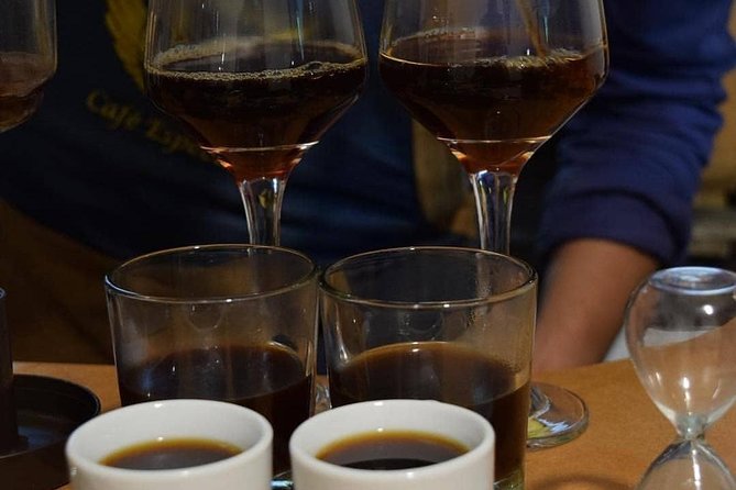 Coffee tasting experience at Divino Café Especial - The story from bean to cup