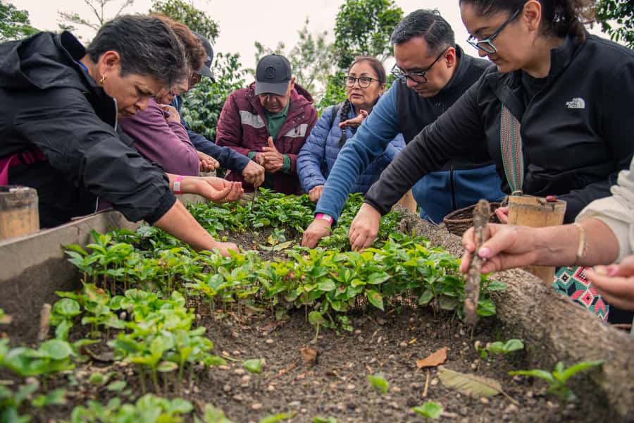 Coffee Tour at Finca El Ocaso Salento: Traditional Spanish Farm - Key points before you book