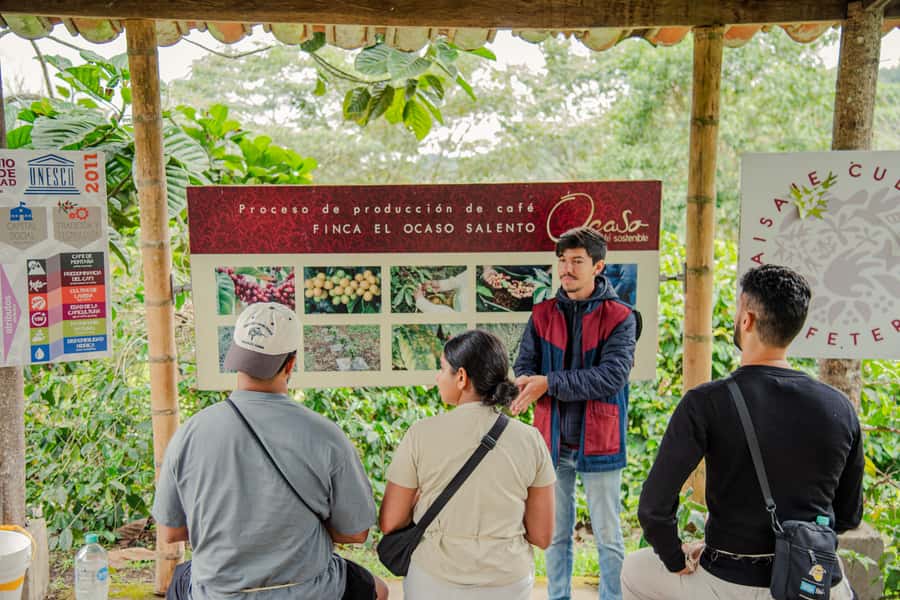 Coffee Tour at Finca El Ocaso Salento: Traditional Spanish Farm - The Spanish-speaking guide and the tour’s pace