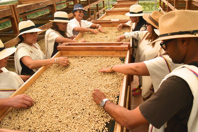 Coffee Tour at the Finca del Café - The farm walk near Santa Rosa de Cabal