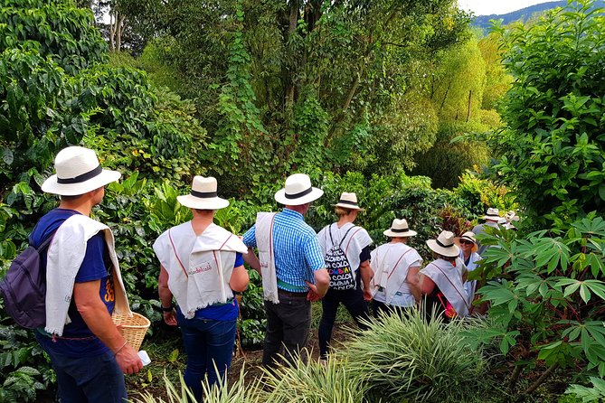 Coffee Tour at the Finca del Café - Why the UNESCO setting adds value