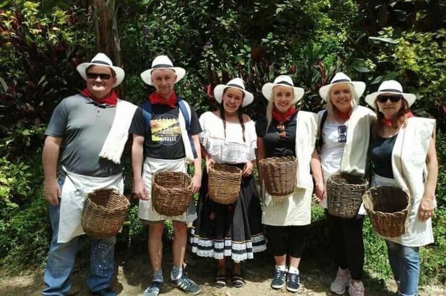 Coffee Tour from Medellin with Lunch and Coffee Tasting - Walking from the planted bean to the finished drink