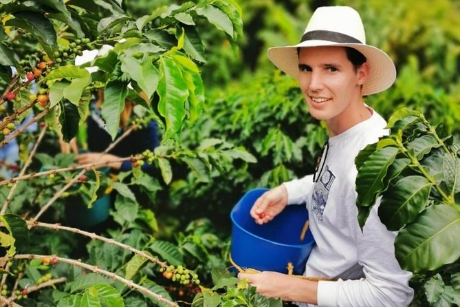 Coffee Tour in the Beautiful Jardin Town: Adventure in the Andes - Is $212 per person a fair price?