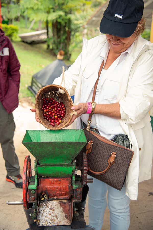 Coffee Tour Salento-Ocaso Farm- English Tour - Starting with coffee history and tree basics