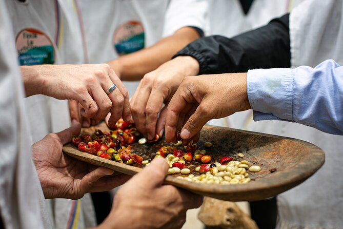 Coffee Tour with arrival on horseback and sugar cane processing - Sugar cane adds another layer to the farm visit