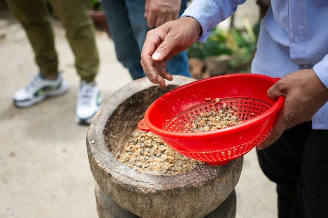 Coffee Tour with arrival on horseback and sugar cane processing - Who will enjoy this coffee tour most?
