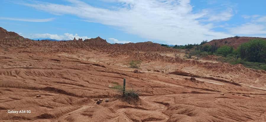 Community and Biodiversity Tour of the Tatacoa Neiva Desert - A swim at the mineral pools