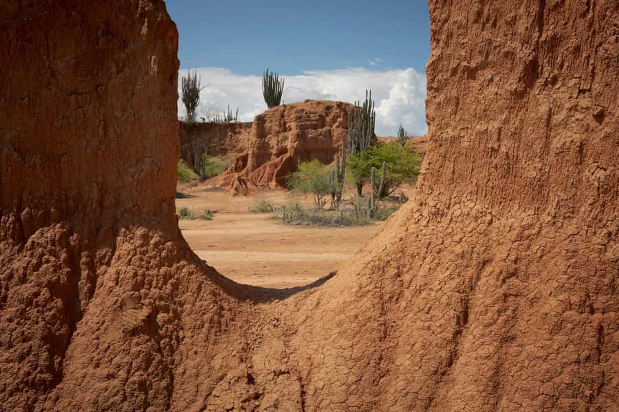 Community tour Biodiversity Latatacoa Desert Villavieja - Key points at a glance