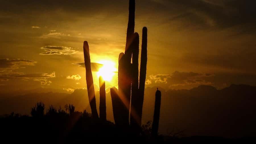 Community tour Biodiversity Latatacoa Desert Villavieja - Astrosur Observatory after sunset