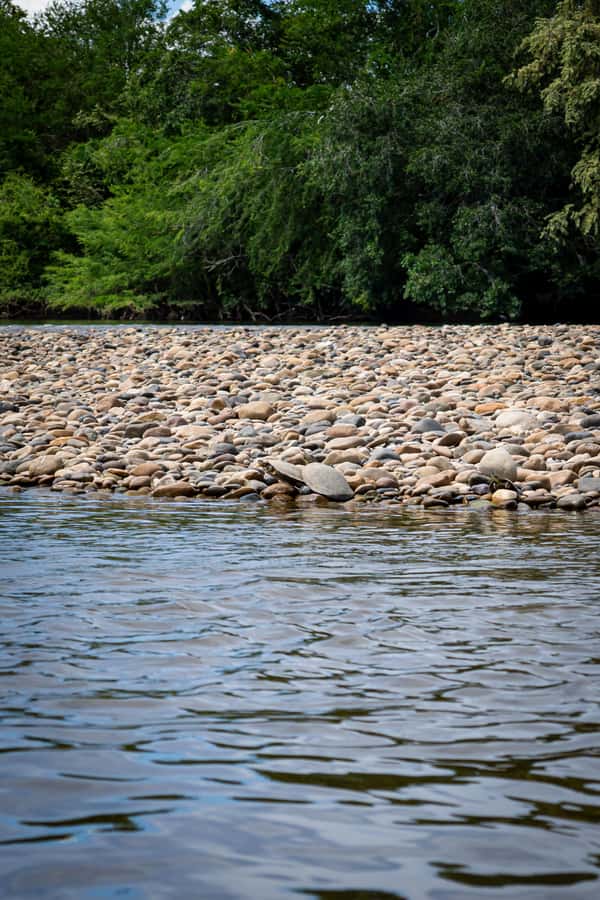 Community tour Biodiversity Latatacoa Desert Villavieja - The Magdalena River by boat and on foot