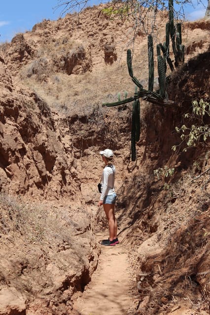 Community tour Biodiversity Latatacoa Desert Villavieja - Cacti, reptiles, and the first desert trails