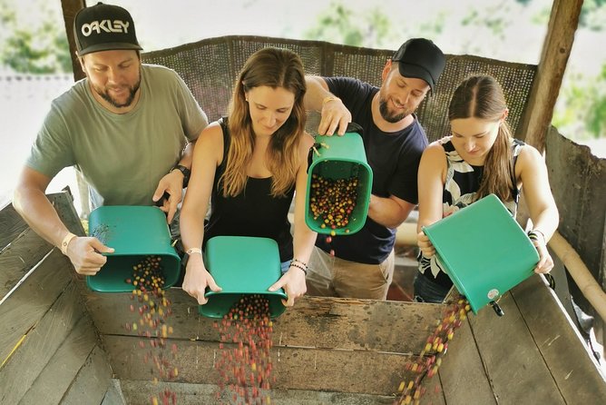 Comuna 13 & Coffee Farm Private Tour in Medellin | The Best Combo - Comuna 13, from steep stairs to public art