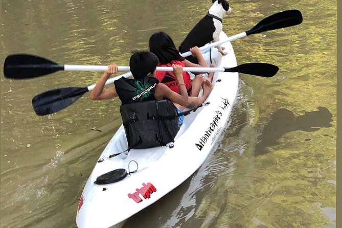 Customized Tigre Delta Tour lunch and drink included - Lunch with empanadas, pizza, and dessert