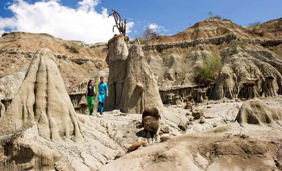 Day Trip to Tatacoa Desert (Horseback, Boat, Stargazing, ..) - Key points to know before you book