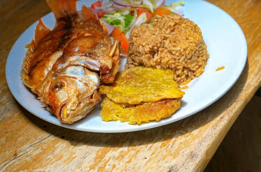 Daytour to Playa Tranquila VIP with Parasols, Lunch by bus! - Who Will Enjoy This Cartagena Excursion?