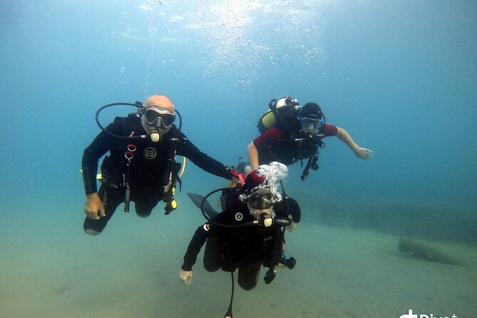 Diving baptism in the Marine Reserve of Cabo Tiñoso - Why the small group matters