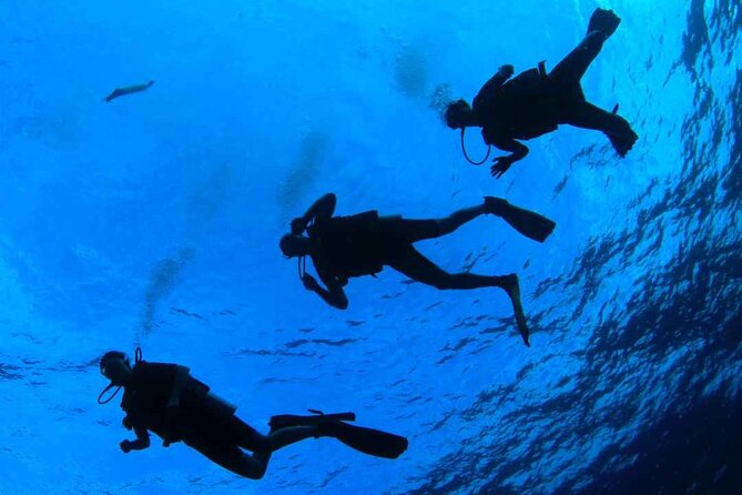 Diving baptism in the Marine Reserve of Cabo Tiñoso - Learning to breathe underwater
