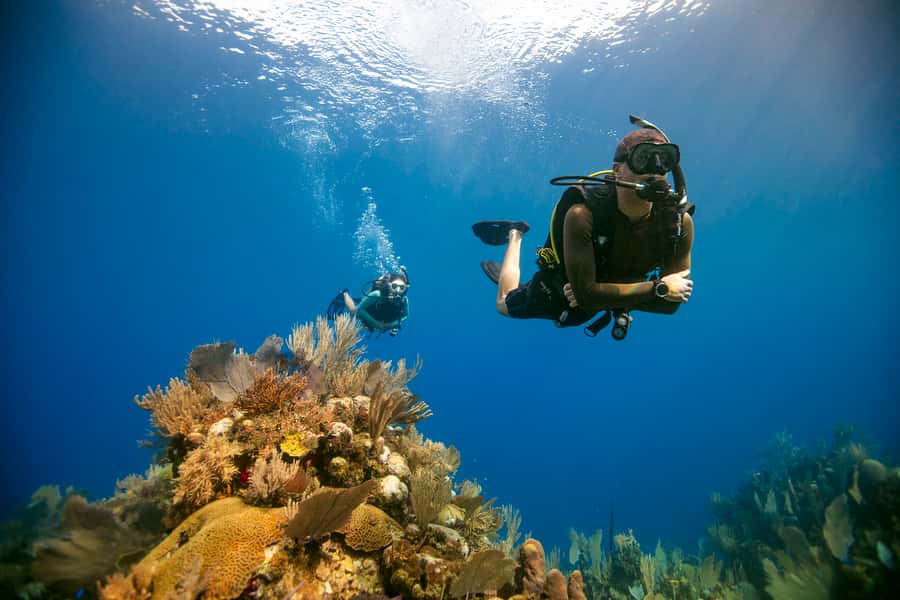Diving Santa Marta & Tayrona for Certified Divers (2 tanks) - From Santa Marta marina to Tayrona waters