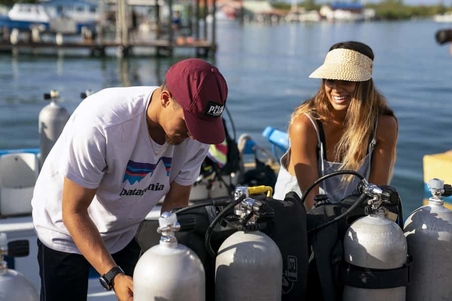 Diving Santa Marta & Tayrona for Certified Divers (2 tanks) - Coral formations and marine life around Tayrona
