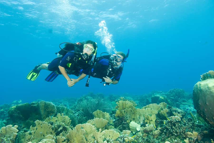 Diving Santa Marta & Tayrona for Certified Divers (2 tanks) - Who will get the most from this outing