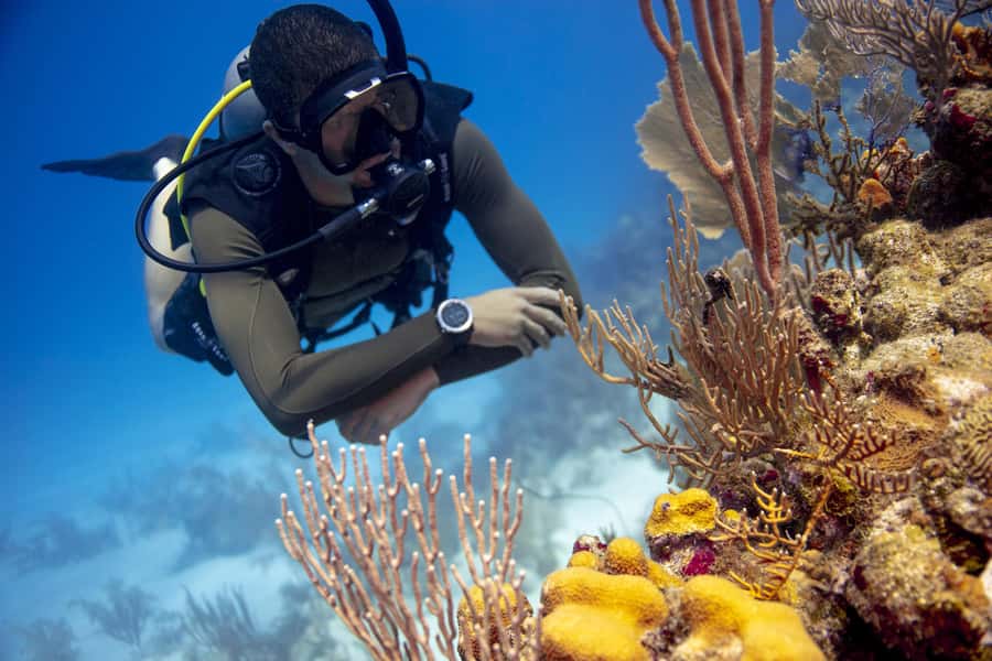 Diving Santa Marta & Tayrona for Certified Divers (2 tanks) - What the two tank schedule means