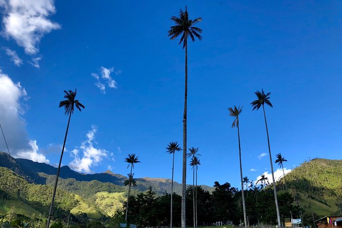 Do it yourself 11 days tour in Colombia (customizable) - Salento brings a welcome change of pace