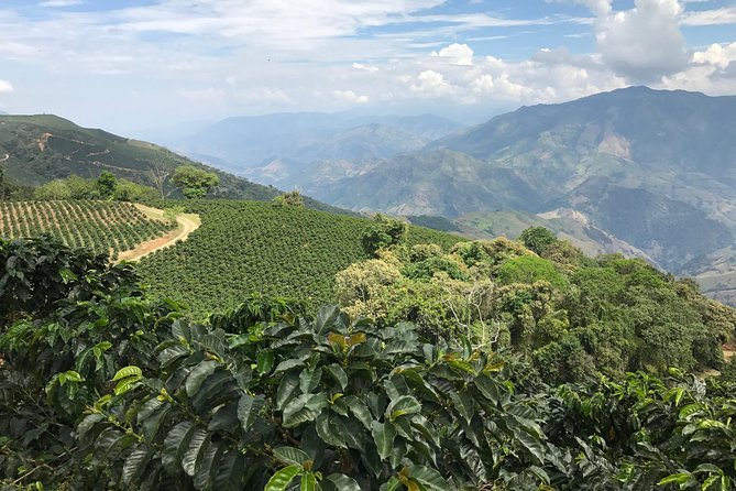 Do it yourself 11 days tour in Colombia (customizable) - Who should choose this 11-day route