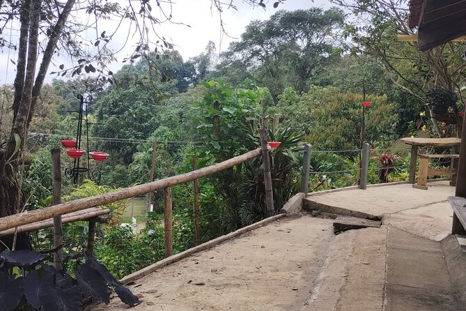 Easy Birdwatching in Cali Colombia (4 Hours) - The baby-goat farm stop