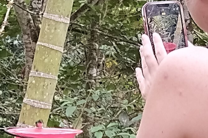 Easy Birdwatching in Cali Colombia (4 Hours) - How the private transport affects the experience