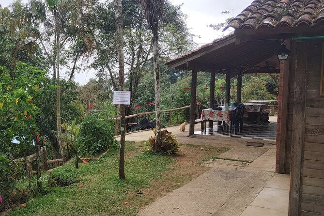 Easy Birdwatching in Cali Colombia (4 Hours) - The road, the weather, and one useful caution