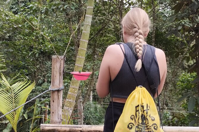 Easy Birdwatching in Cali Colombia (4 Hours) - Coffee, cool air, and a slower pace