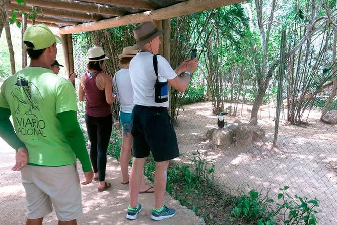 Eco Plan National Aviary and Lunch in Playa Mambo Beach Barú - What the beach afternoon is really like