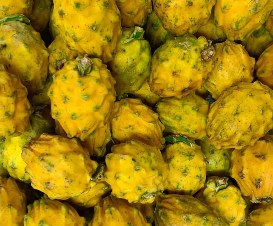 Essential Fruit Experience - Key points to know before you go