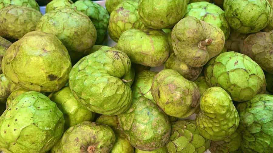 Essential Fruit Experience - Who will enjoy this fruit tour most