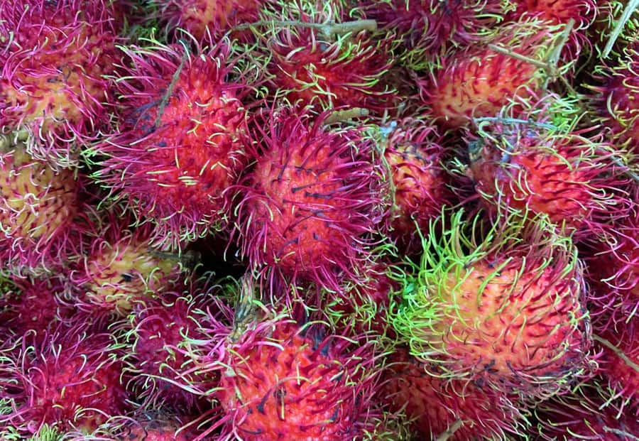 Essential Fruit Experience - Ten Colombian fruits, with room for surprises