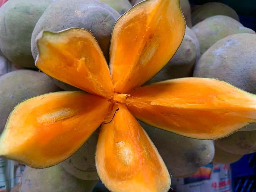 Essential Fruit Experience - The e-book keeps the tasting going