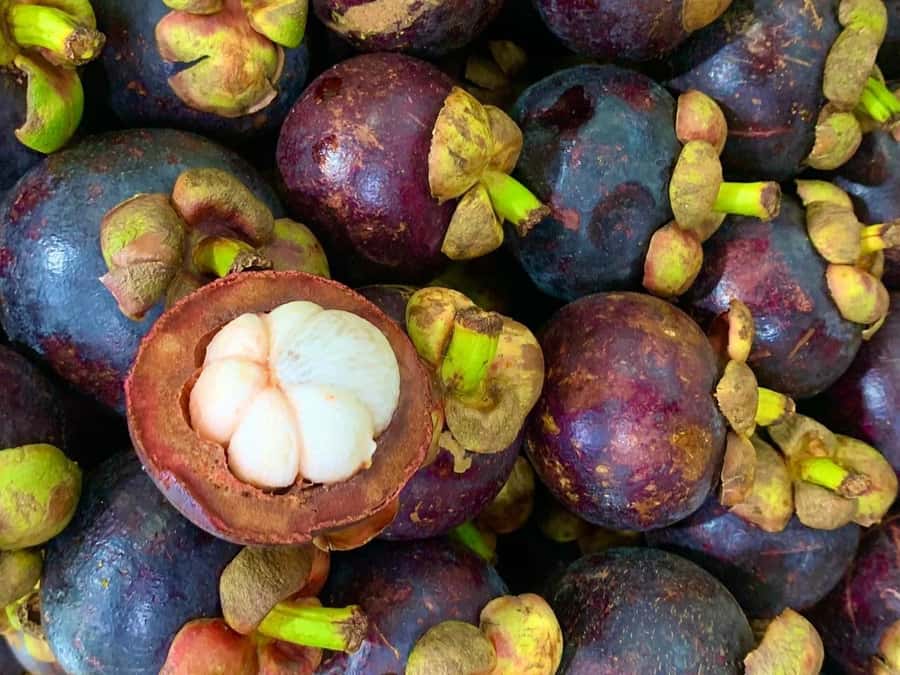 Essential Fruit Experience - Is $16 a fair price?