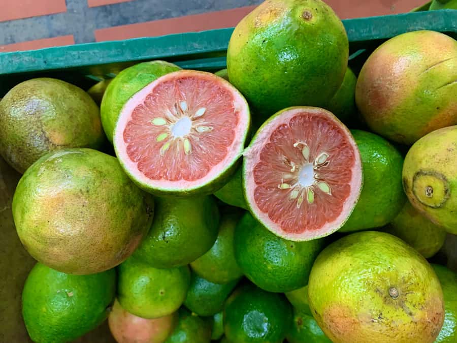 Essential Fruit Experience - Access, timing, and practical limits